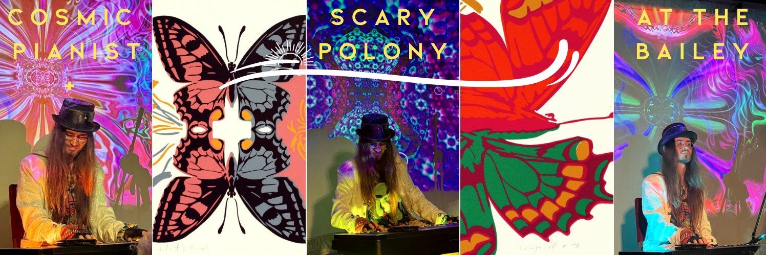 COSMIC PIANIST X SCARY POLONY AT THE BAILEY