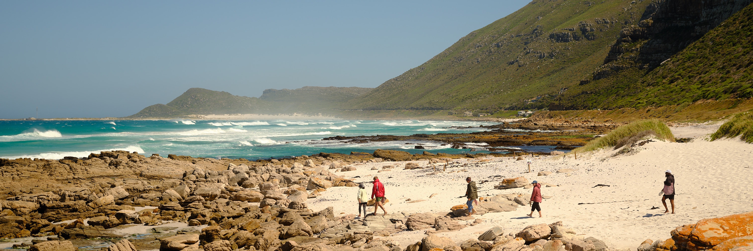 Summer Coastal Forage with Veld and Sea - 11 November