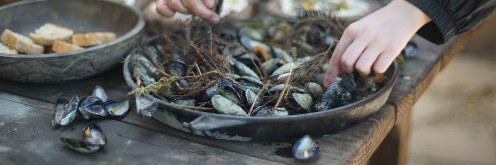 Summer Coastal Forage with Veld and Sea - 12 November