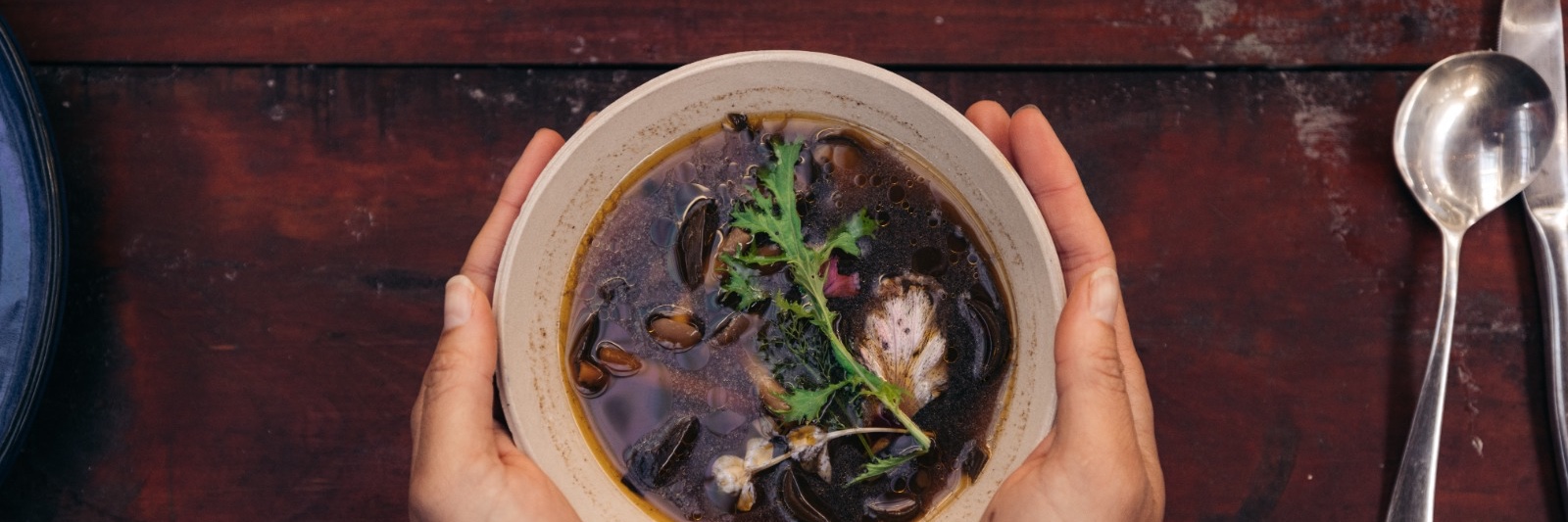 Summer Coastal Forage with Veld and Sea - 12 December
