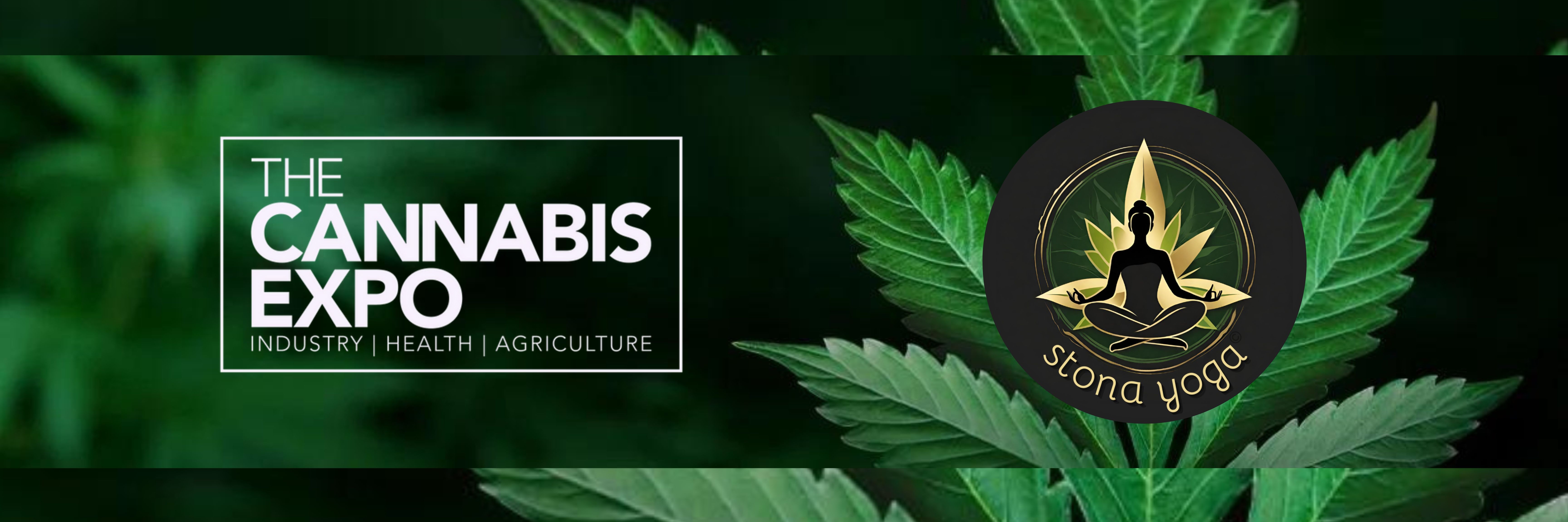 Stona Yoga @ The Cannabis Expo