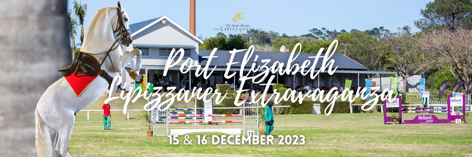 A Lipizzaner Port Elizabeth Extravagnza