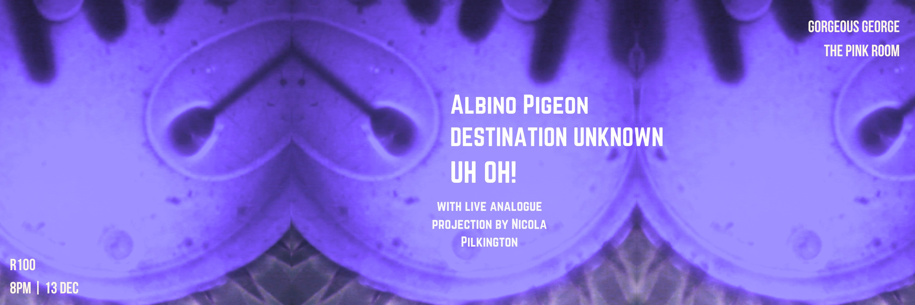 Experiment at Gorgeous George with Uh Oh! | Destination Unknown | Albino Pigeon