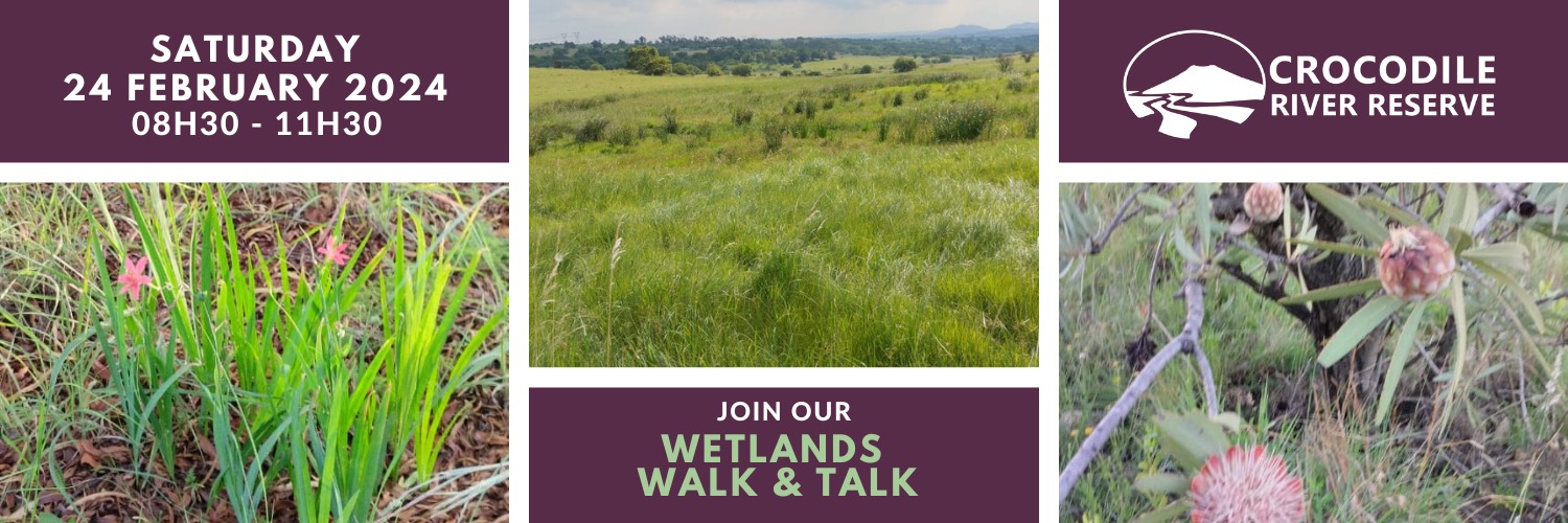 Book tickets for Wetlands Walk & Talk 2024