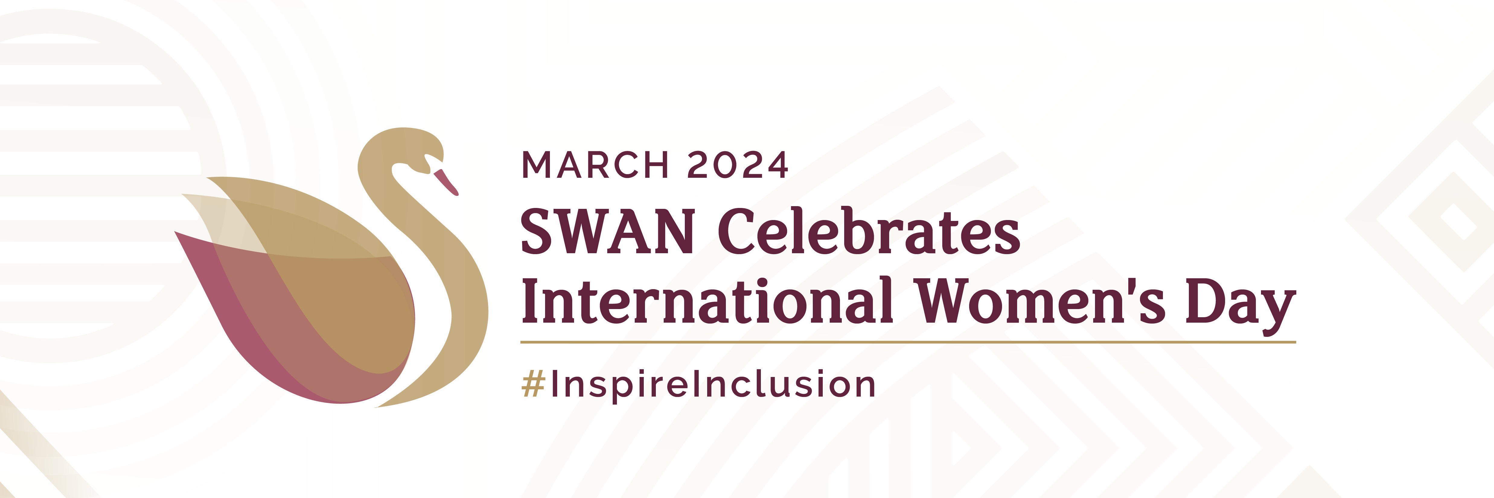 KZN Panel Discussion | Paneelbespreking SWAN #InspireInclusion