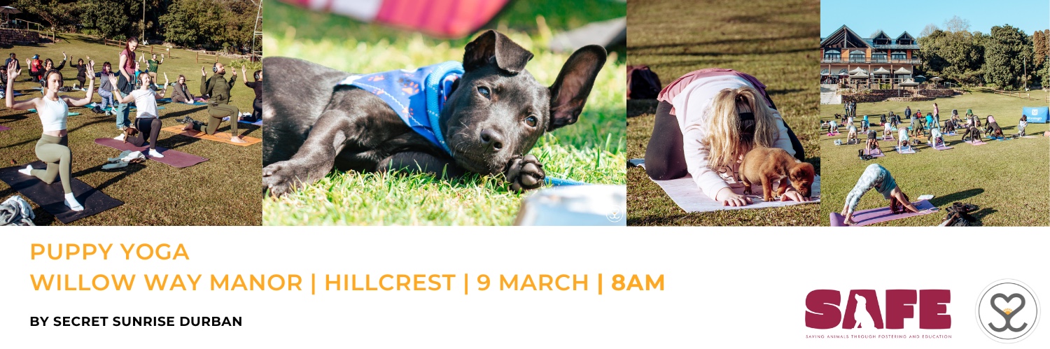Secret Sunrise Durban - Puppy Yoga