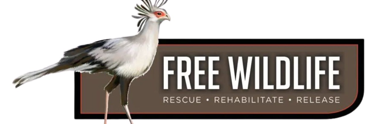 Urban Wildlife Talk by Margi Brocklehurst At the Inside Out Centre for the Arts