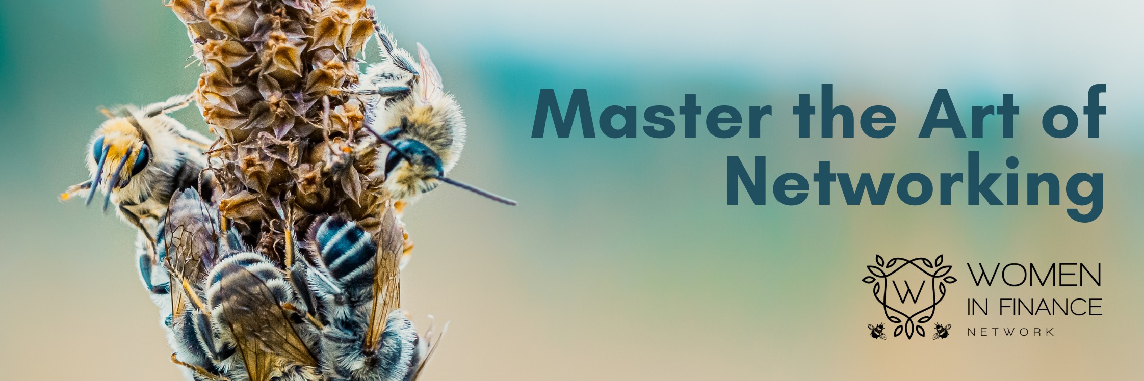 From Awkward to Awesome: Master the Art of Networking