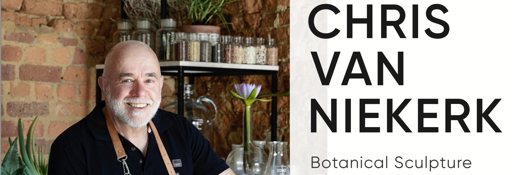CHRIS VAN NIEKERK - botanical sculpture and natural objects