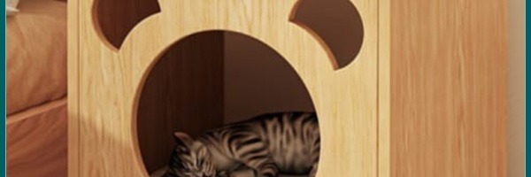 How to Make a Cat Bed