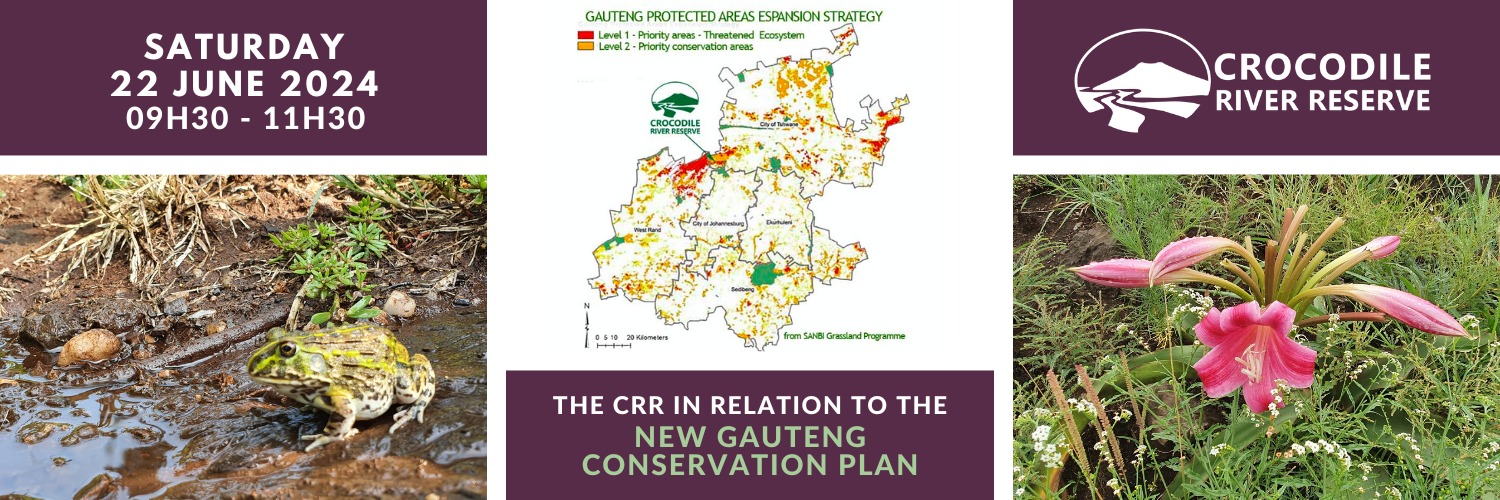 The CRR in relation to the new Gauteng Conservation Plan, corridors and other environmental features