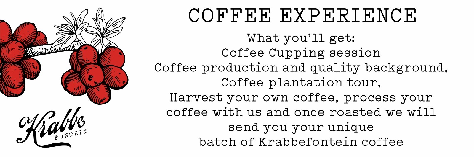 Coffee Experience Harvest Tour