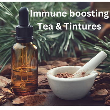 Immune boosting herbs workshop Tea & Tintures photo 1
