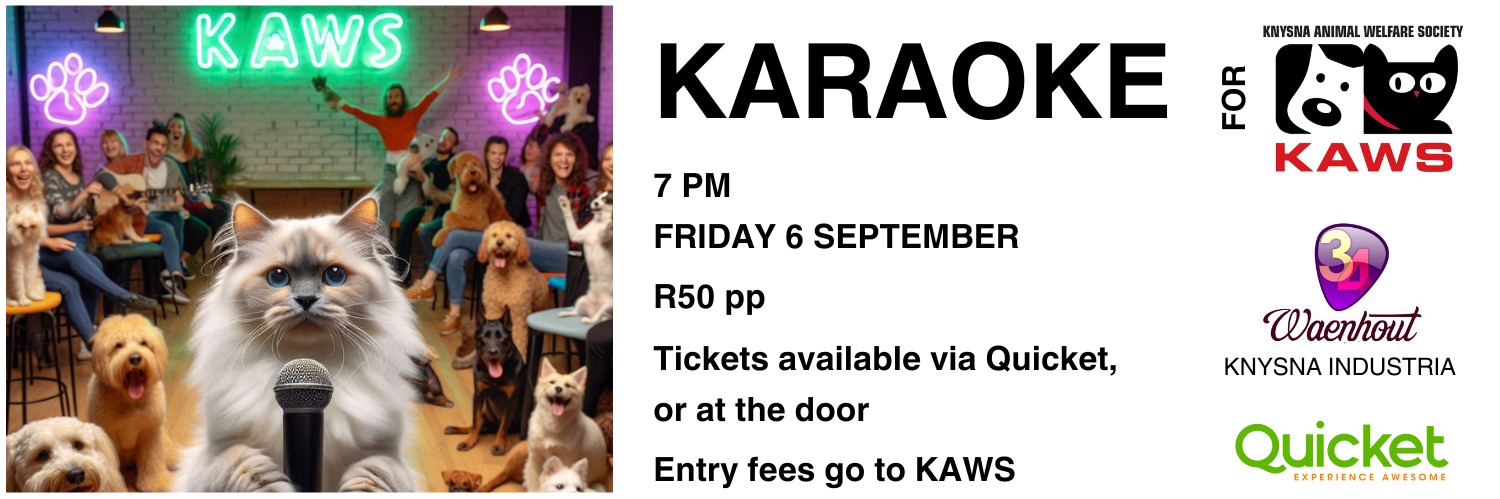 Karaoke for KAWS
