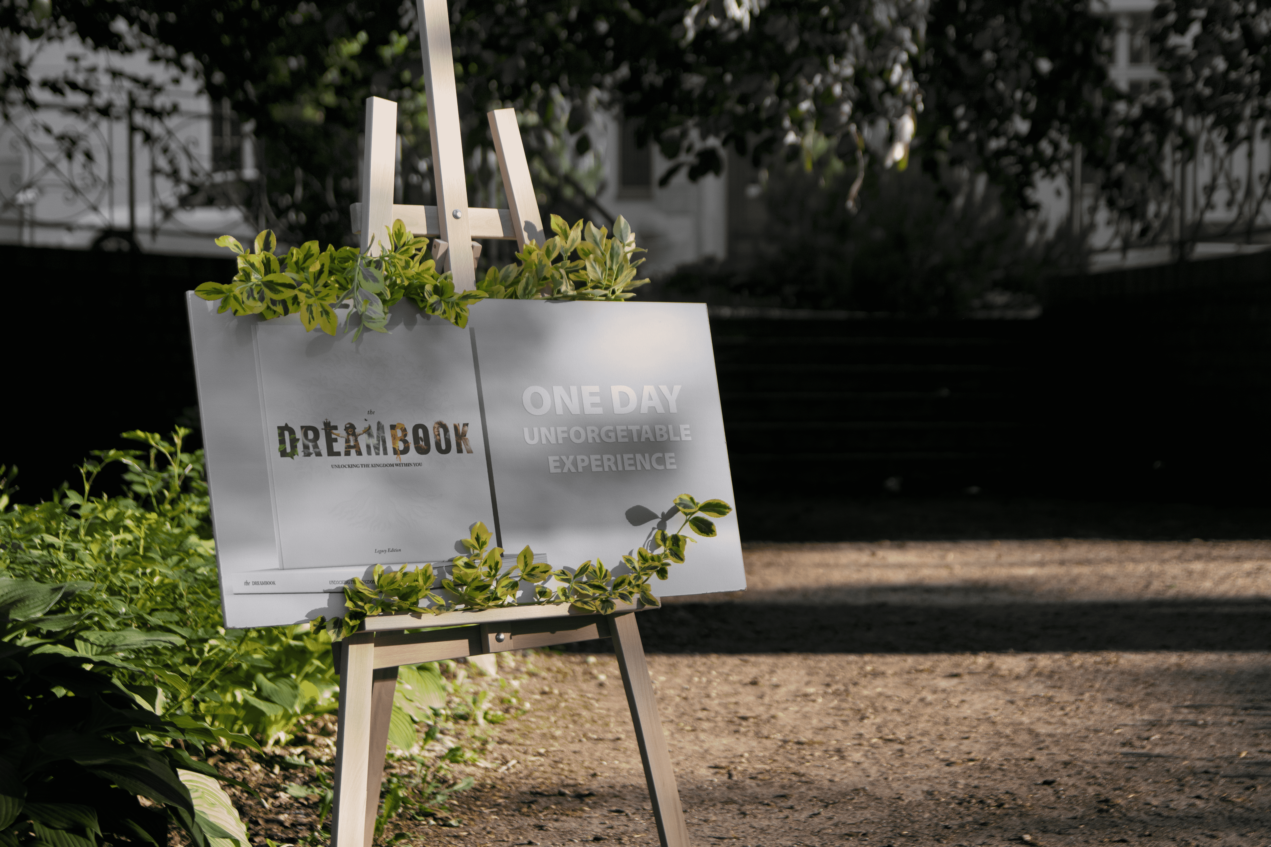 The Dreambook Immersion Day