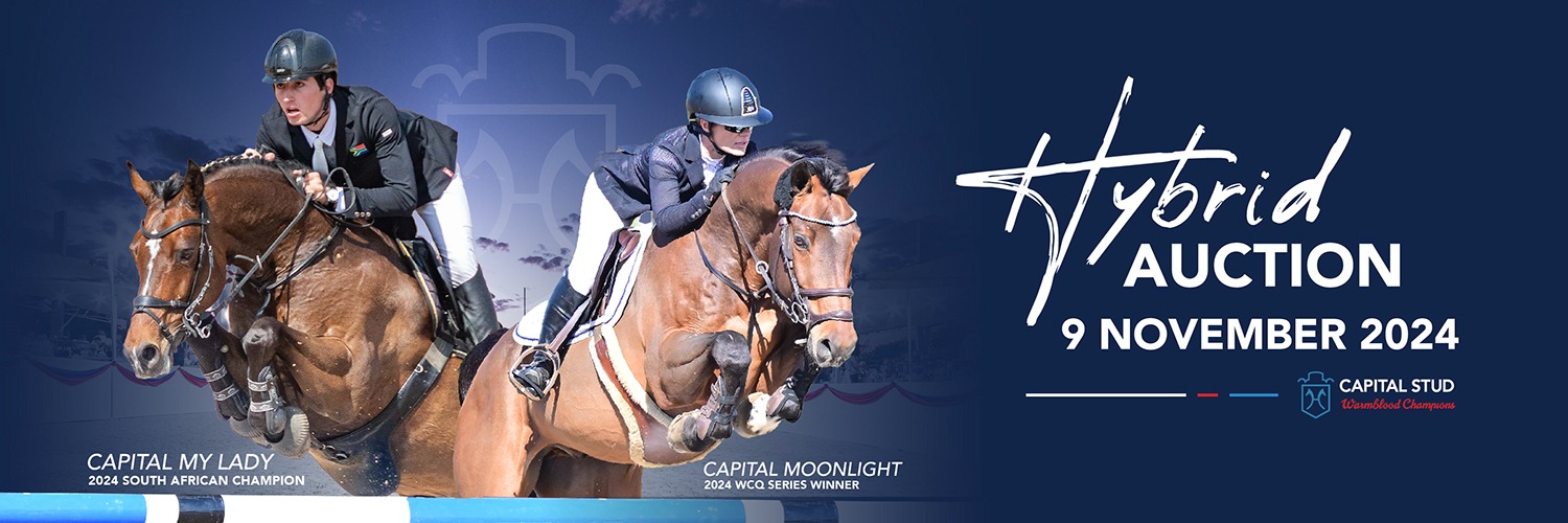 Capital Stud - Hybrid Auction November 2024