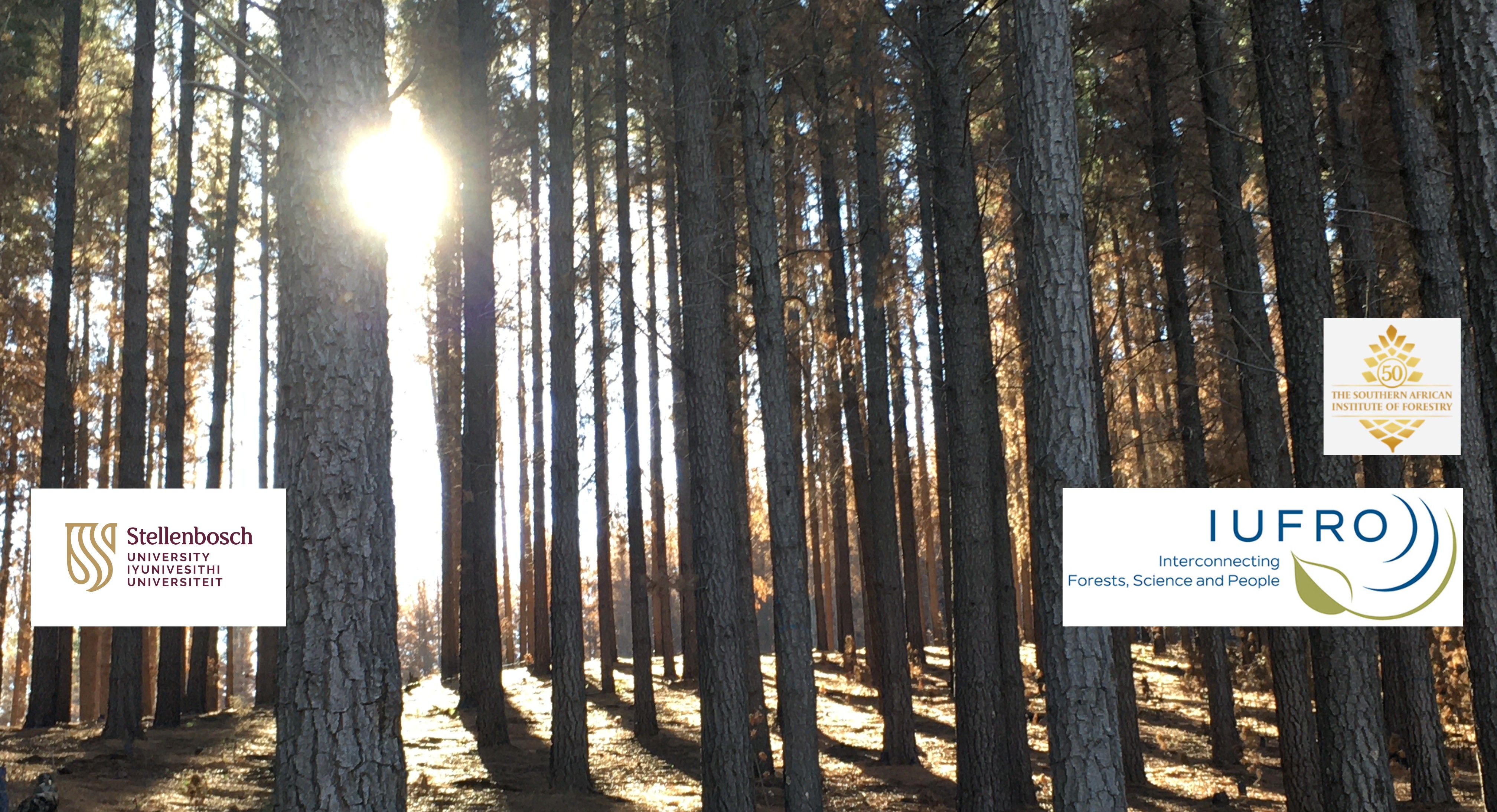 Precision Forestry Symposium 2025