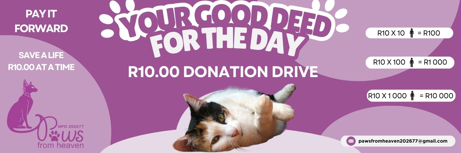 R10.00 Donation Drive For Cat Sanctuary