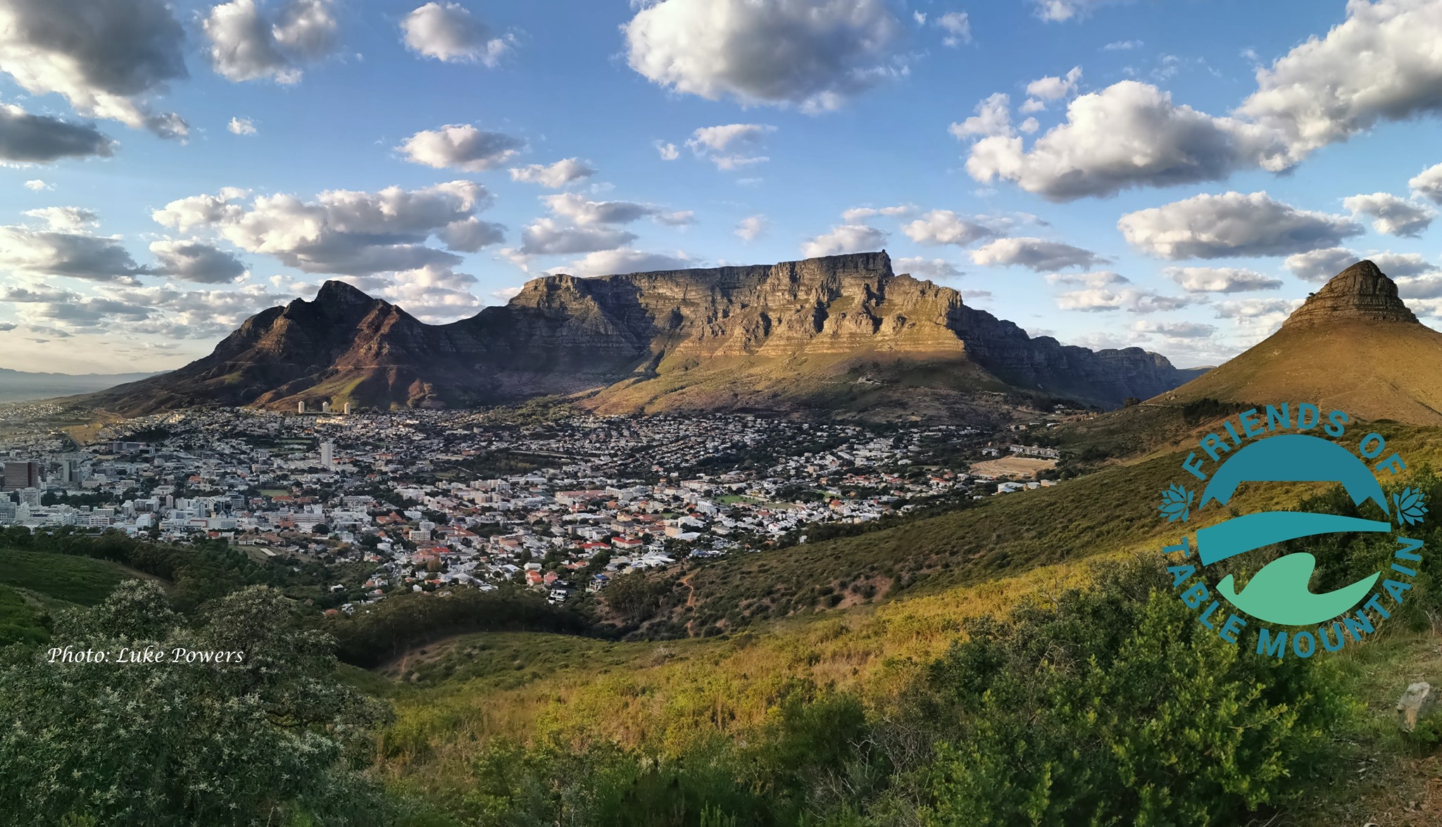 Friends of Table Mountain T-shirt order 2024 Nov