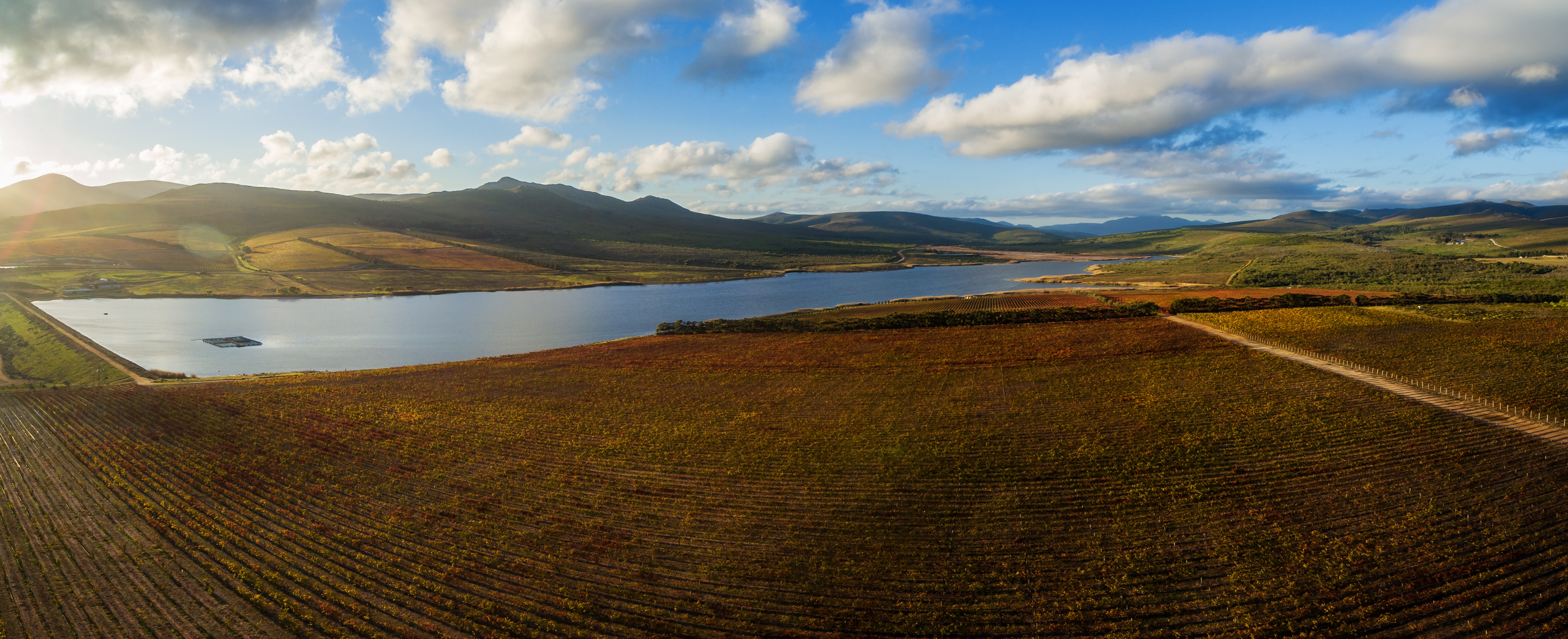 Discover Lomond's Estate Wines - A Lomond Long Table Event