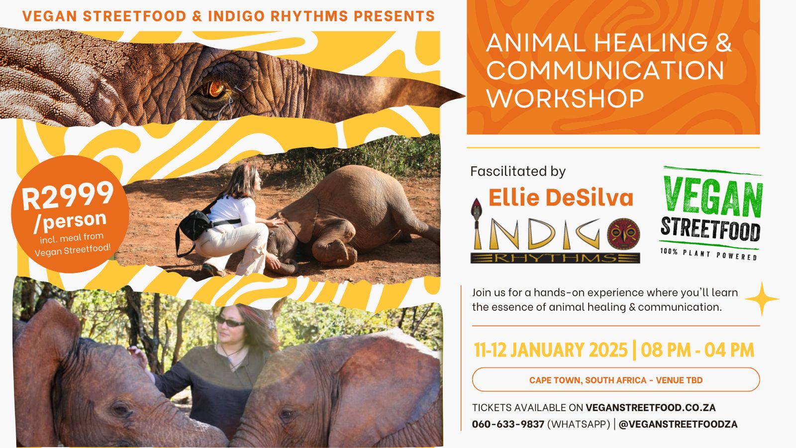 Animal Healing & Communication Workshop
