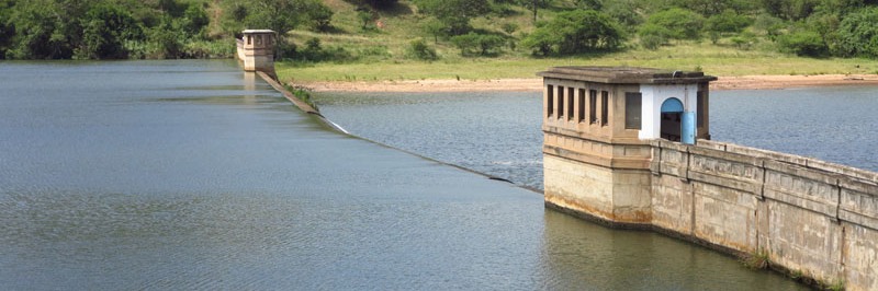 Nagle Dam Hike & Picnic