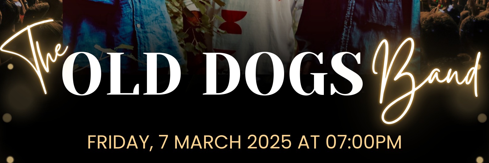 The Old Dogs Band Live at The Sound Garden