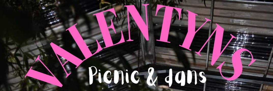 VALENTINES PICNICKEN DANS