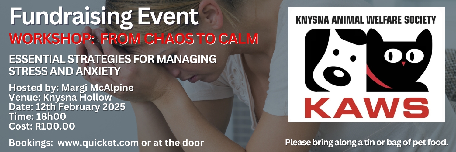Workshop: From Chaos to Calm