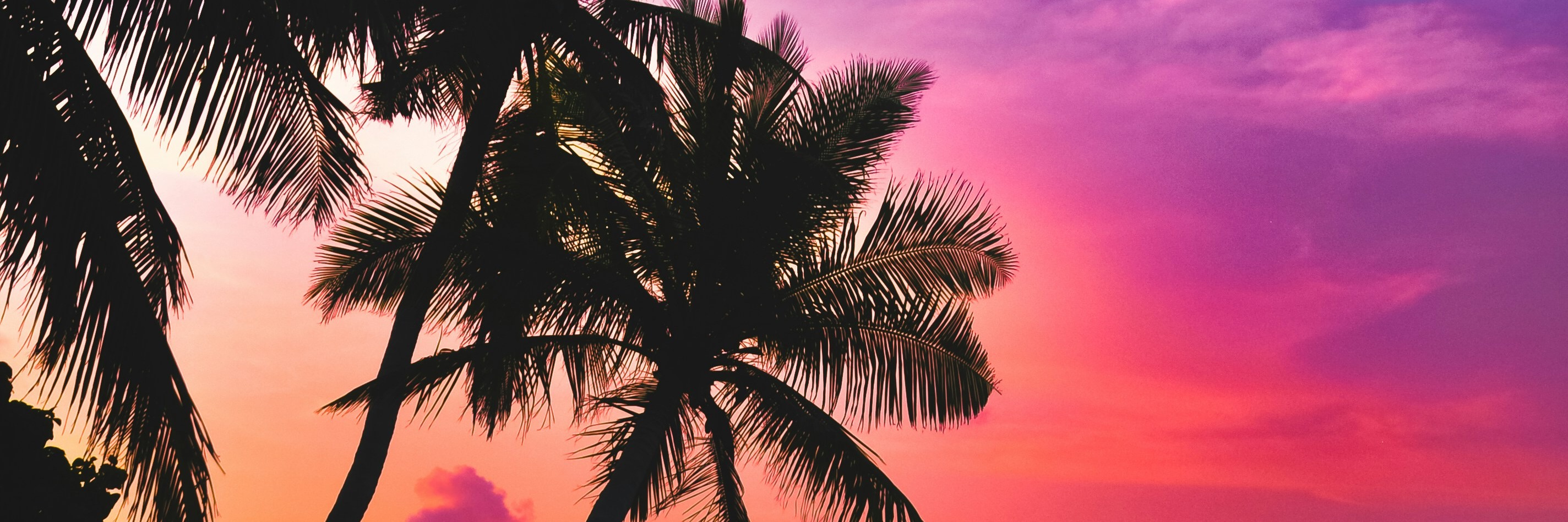 Issaquena Heights Tropical Valentine's Day