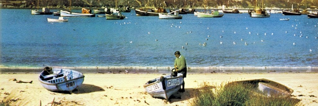 The Last Leopard - A Hout Bay Heritage Walking Tour