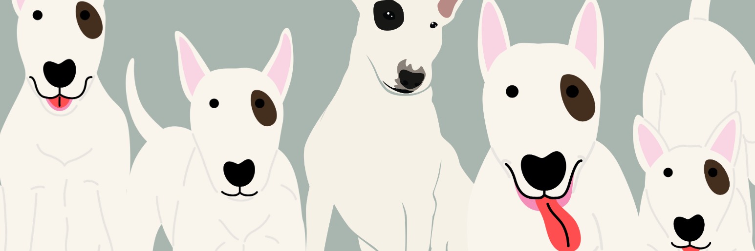 Adora-bull Fundraiser