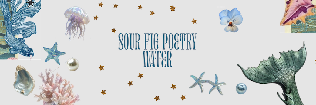 Sour Fig Poetry: Water