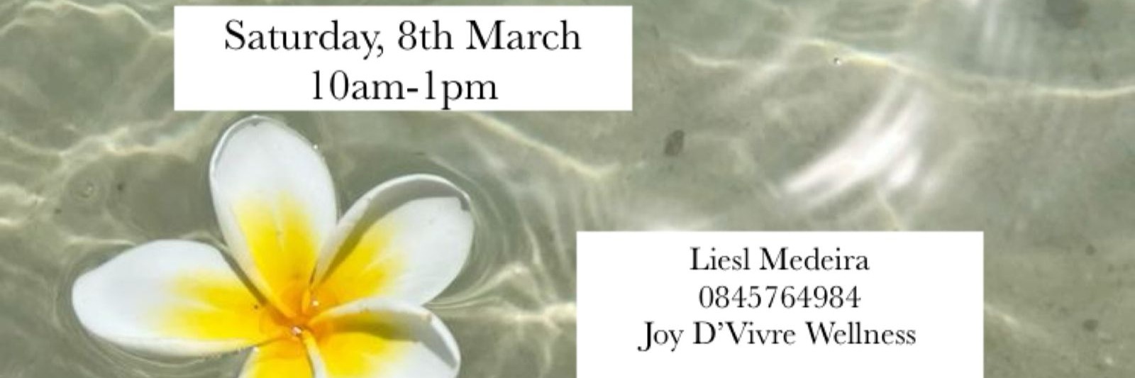 Somatic Wellness with Liesl