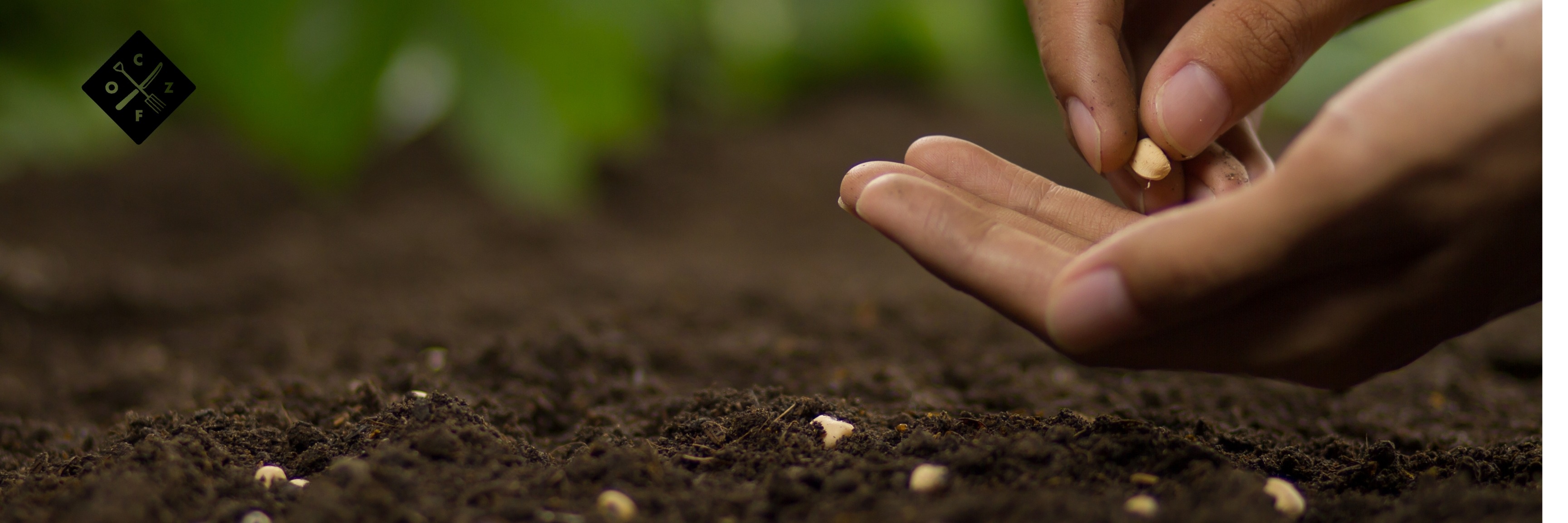 Seed Saving Workshop
