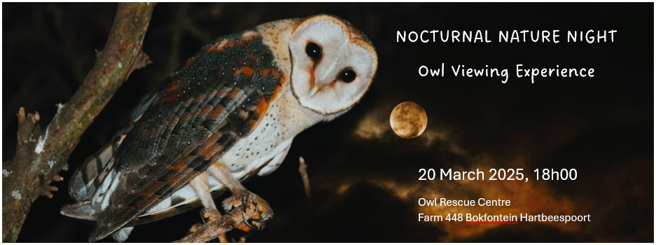 Nocturnal Nature Night: Owl Viewing Experience