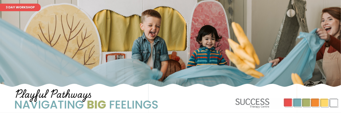 Playful Pathways: Navigating Big Feelings
