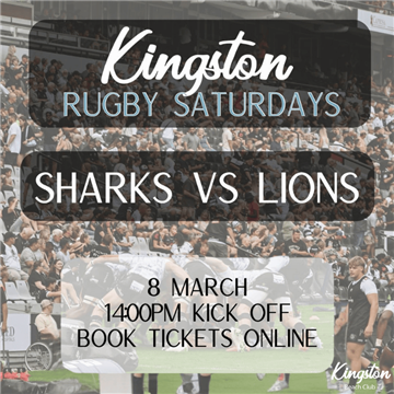 Sharks vs Lions photo 1