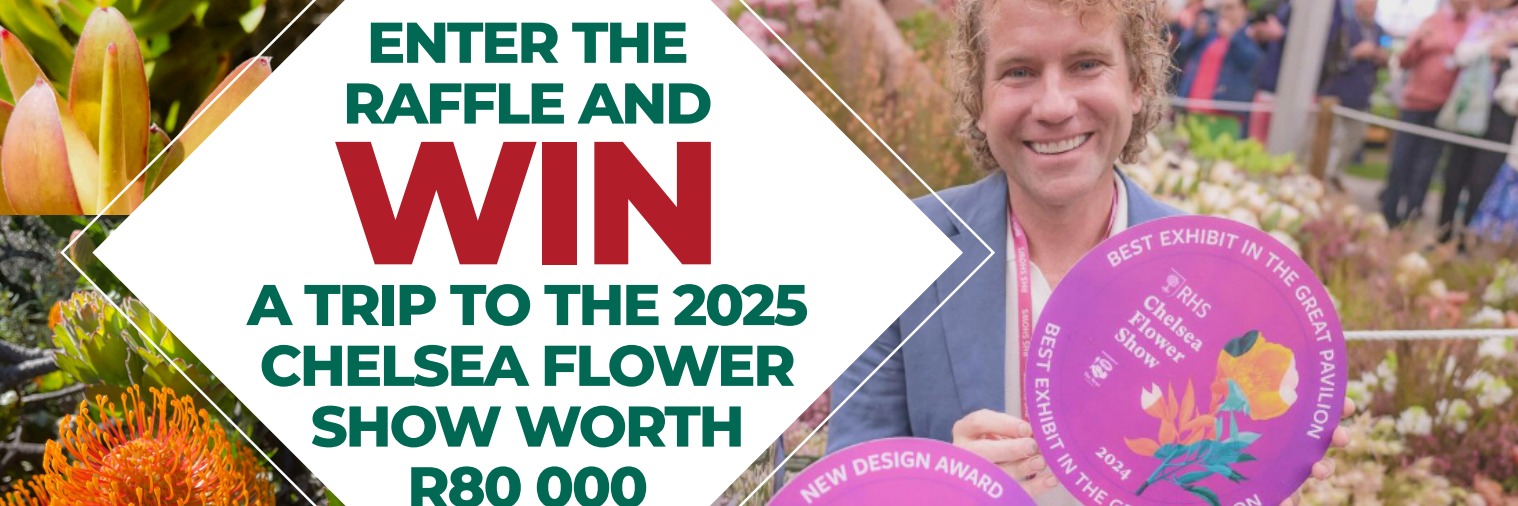 Chelsea 2025 and Kirstenbosch Botanical Society fundraiser raffle tickets
