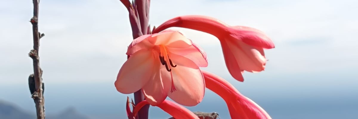 People's Trail Hut Overnight Hike on Table Mountain with Branch Out and Green Eyes Education