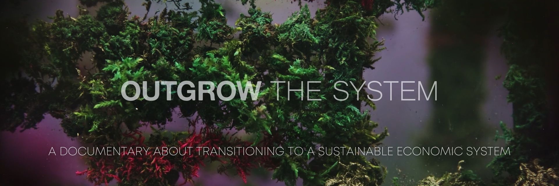 Outgrow the System