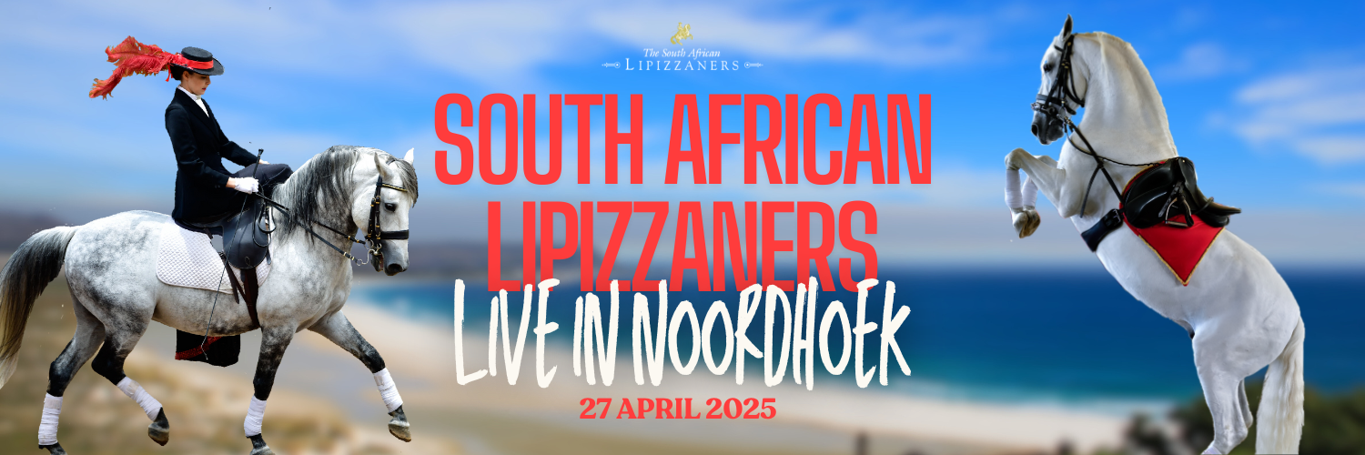 South African Lipizzaners Extravaganza in Noordhoek