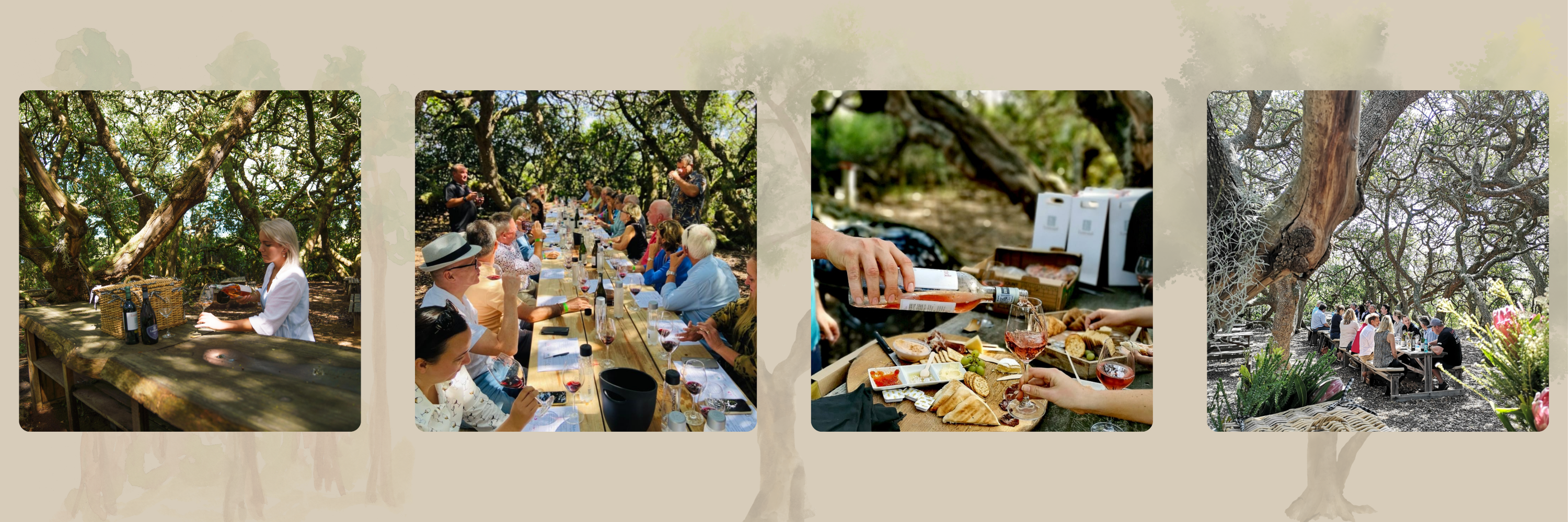 Sunday Lunch in the Milkwood Forest - A Lomond Long Table Event