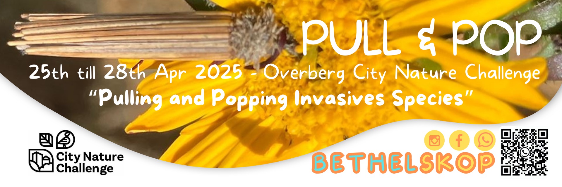 Bethelskop - Restoring Biodiversity by Pulling and Popping Invasives