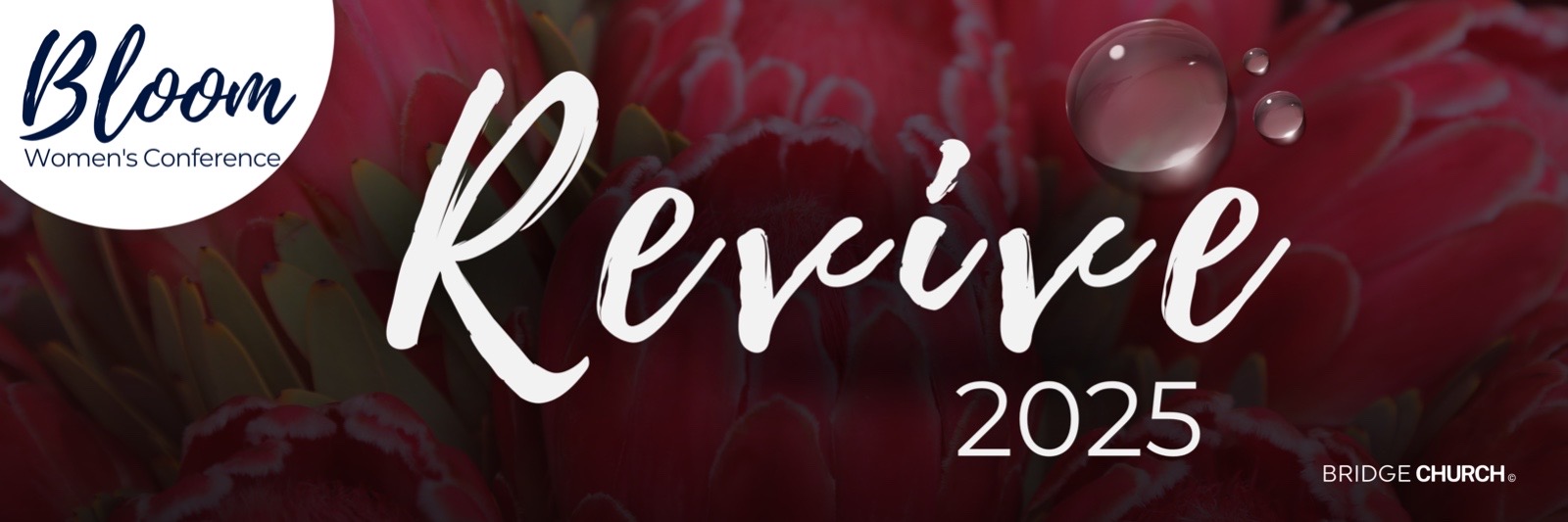 Bloom Women's Conference