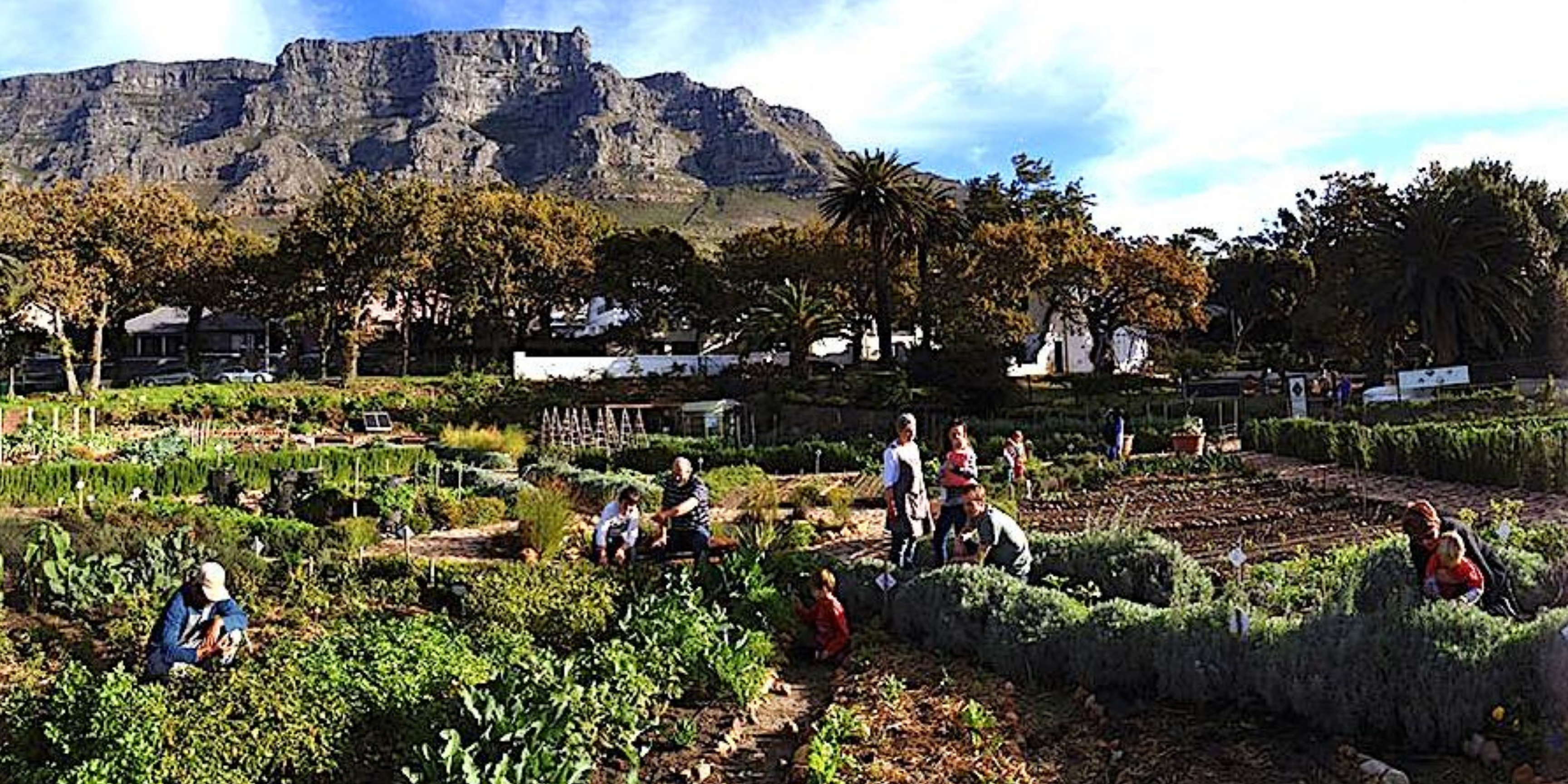 Compost for a Thriving Garden: Turning Waste into Living Soil