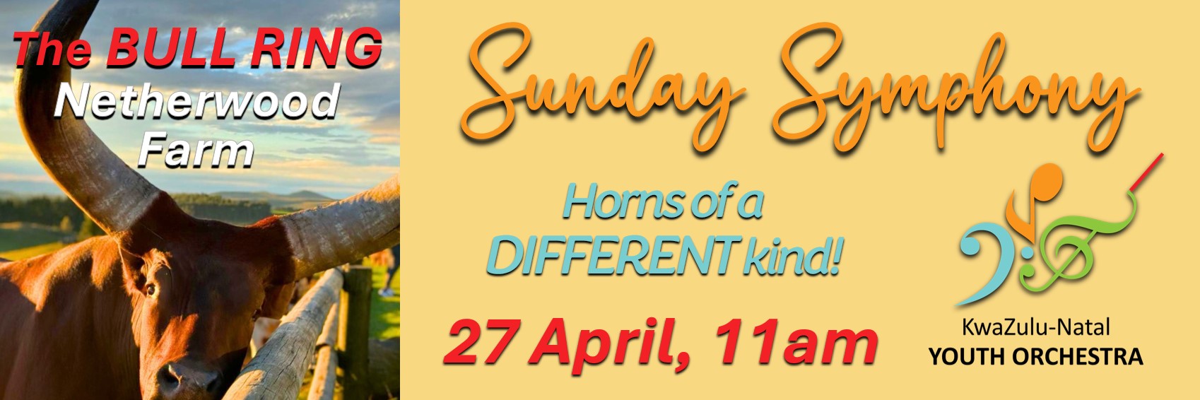 Sunday Symphony with the KZN Youth Orchestra