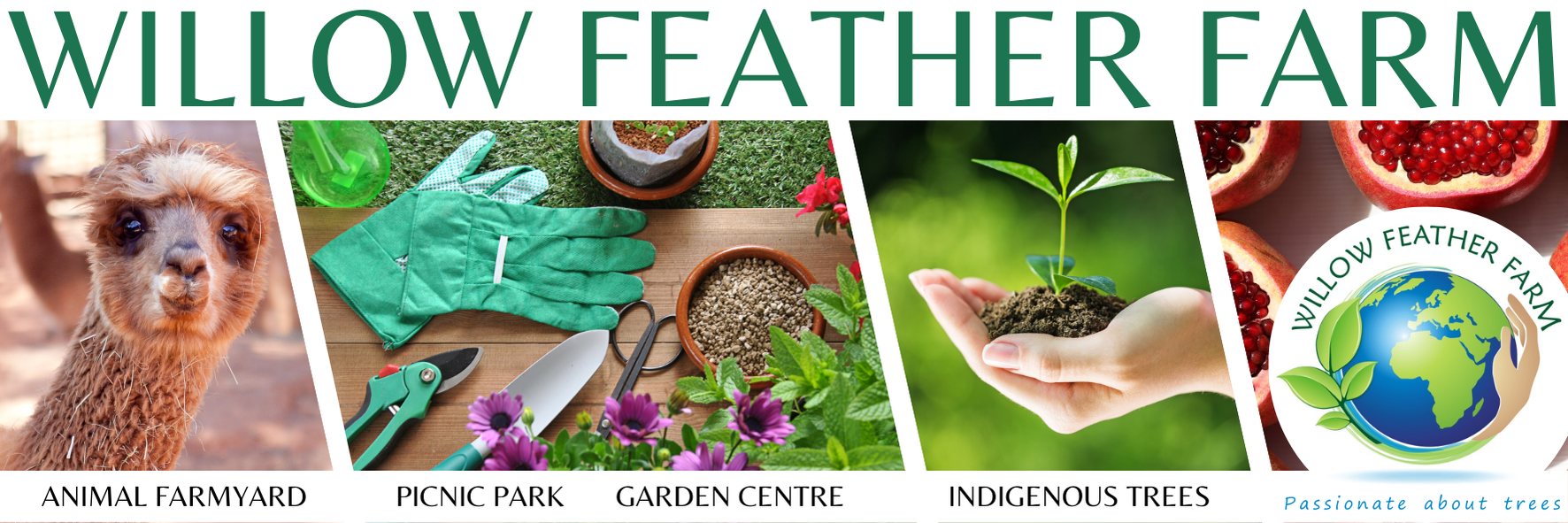 Easter Egg Hunt At Willow Feather Farm