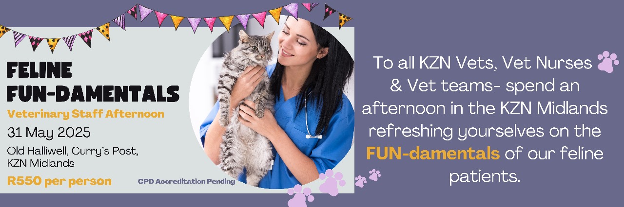 Feline FUN-damentals Vet & Nurses CPD