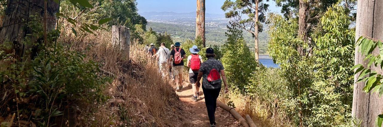 The Protea Village - A Kirstenbosch Heritage Walking Tour